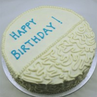 Simply Buttercream Icing with Cornelli Lace Half Cake